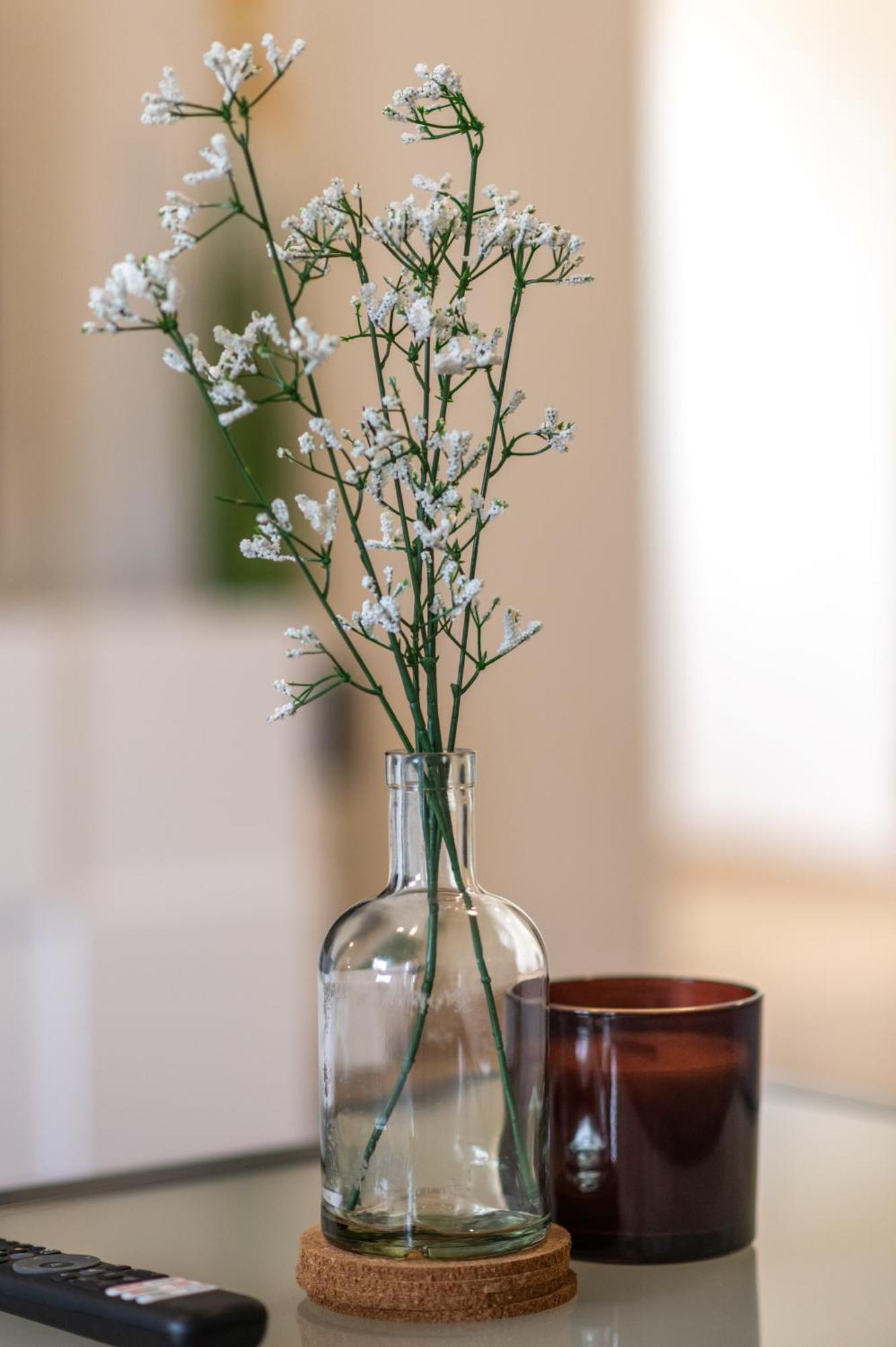 Apartman Zgodic Tulisevica 외부 사진